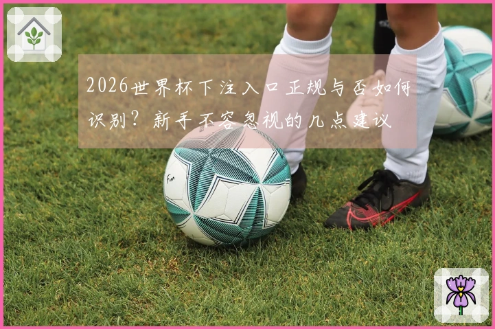 2026世界杯下注入口正规与否如何识别?新手不容忽视的几点建议